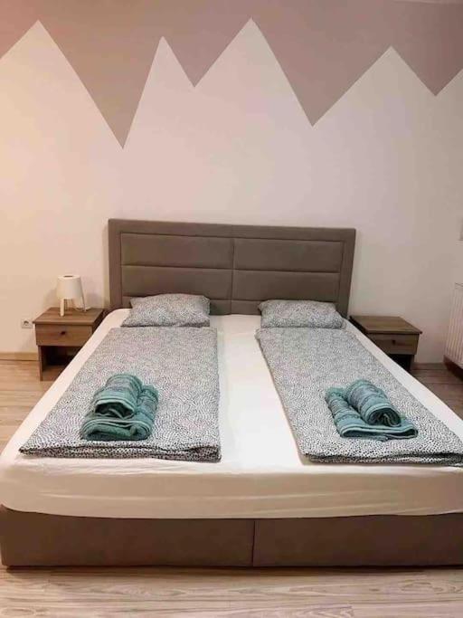 Apartman Corvin Cozy And Peaceful 313